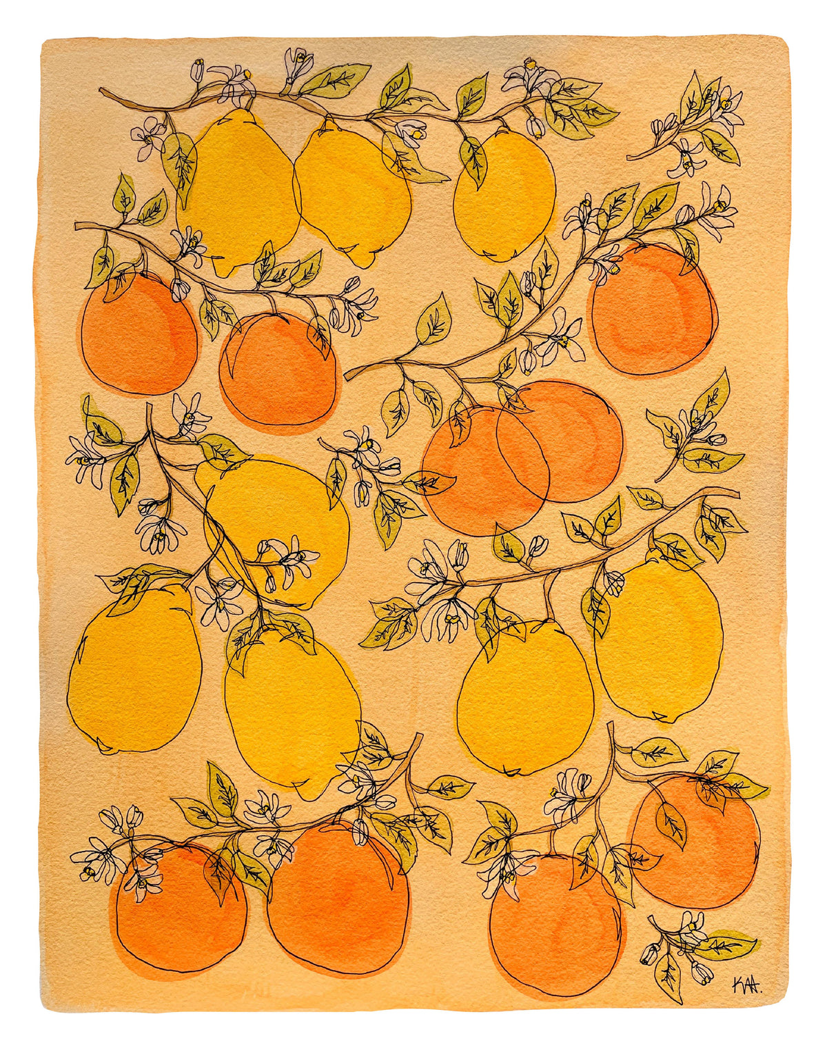 11x14 Lemons and Oranges Print