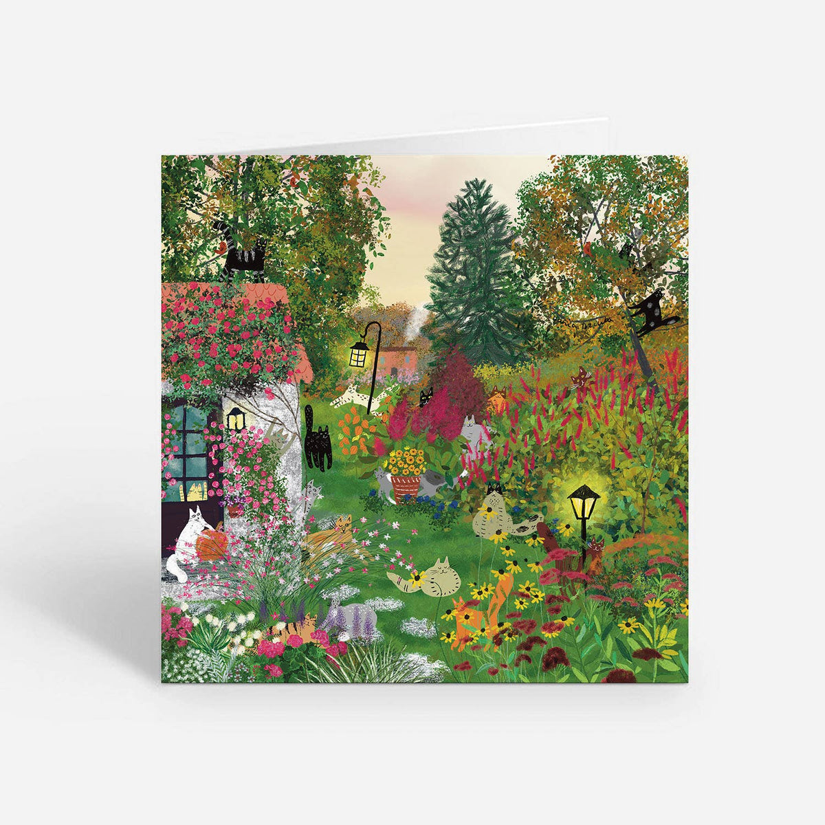 Cats in a fall garden: Greeting card