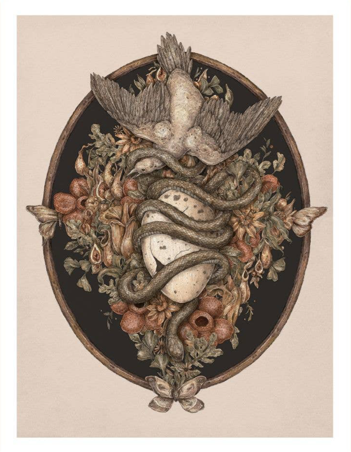 9” x 12” Botanica Print