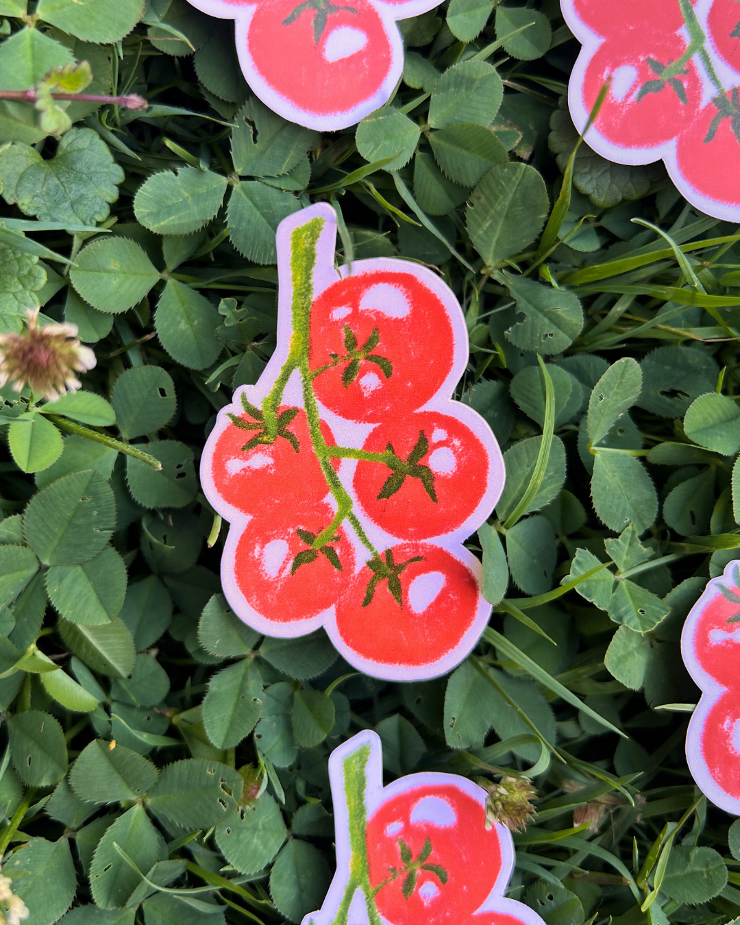Red Tomato Bunch Sticker - Veggie Art, Gardening, Vegetables