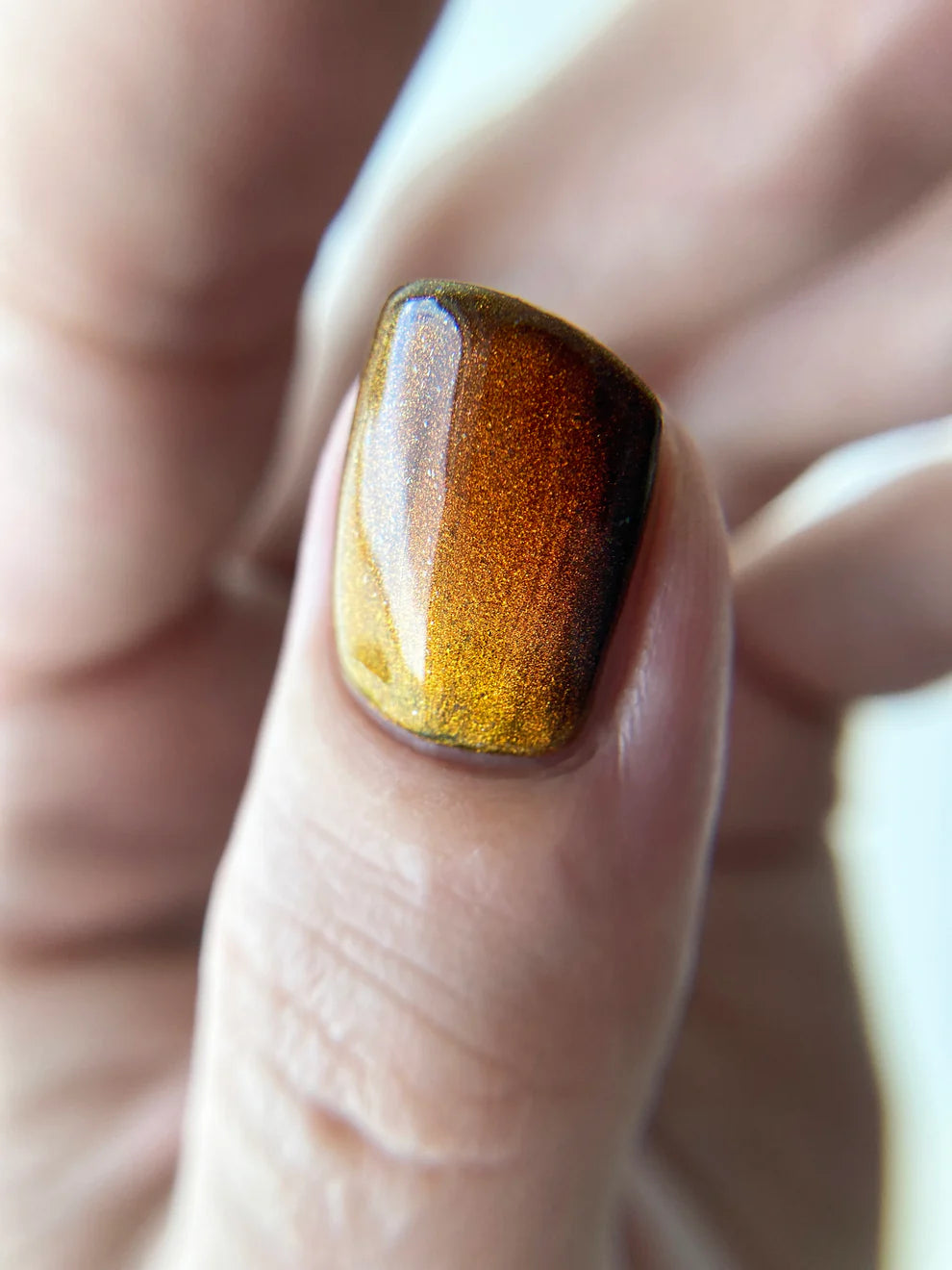 Tannins in the Leaves MAGNETIC