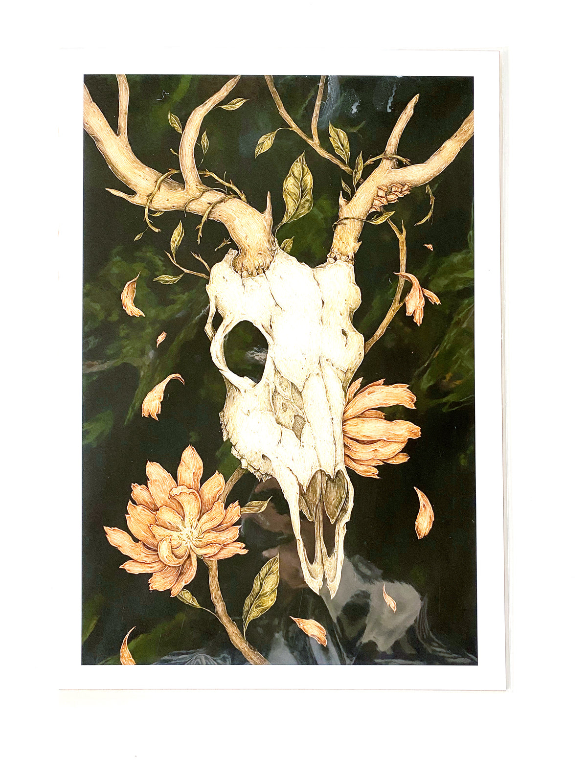 8&quot; x 12&quot; The Lost Print