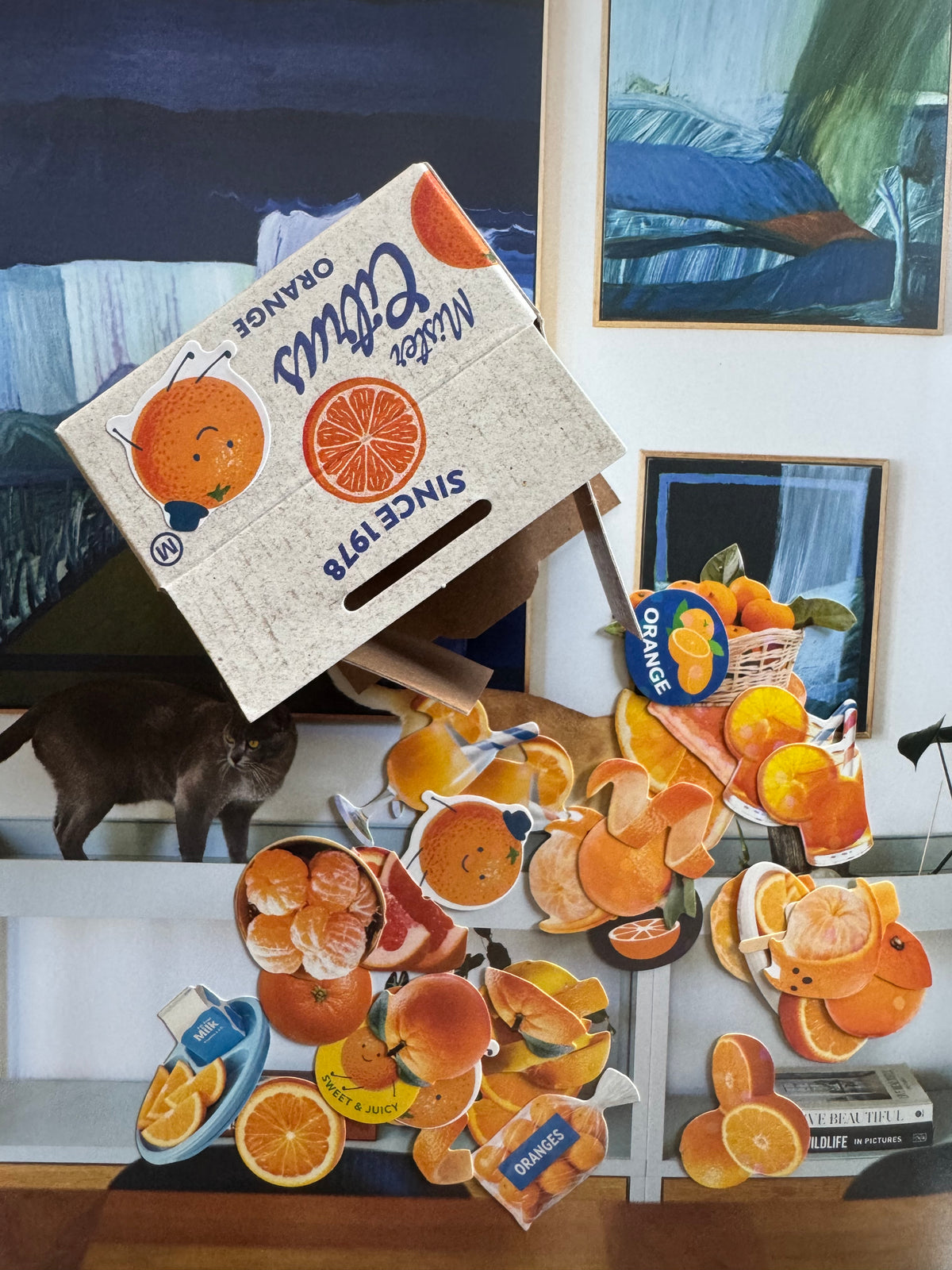 Sticker Box - Oranges