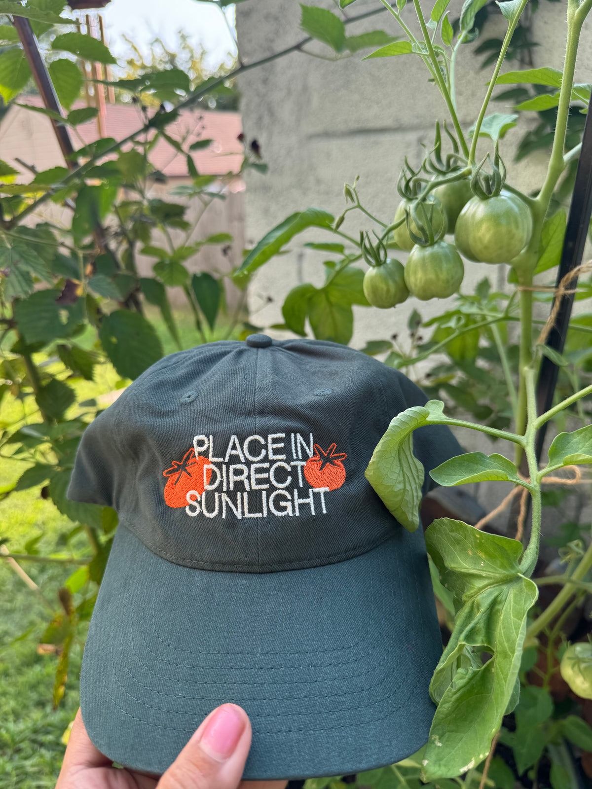“Place In Direct Sunlight” Tomato Dad Hat