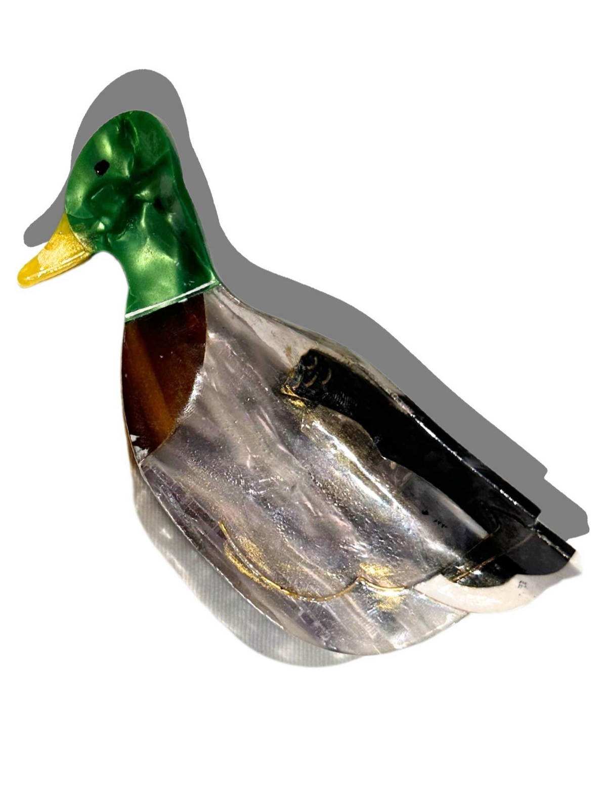 Mallard Duck Bird Claw