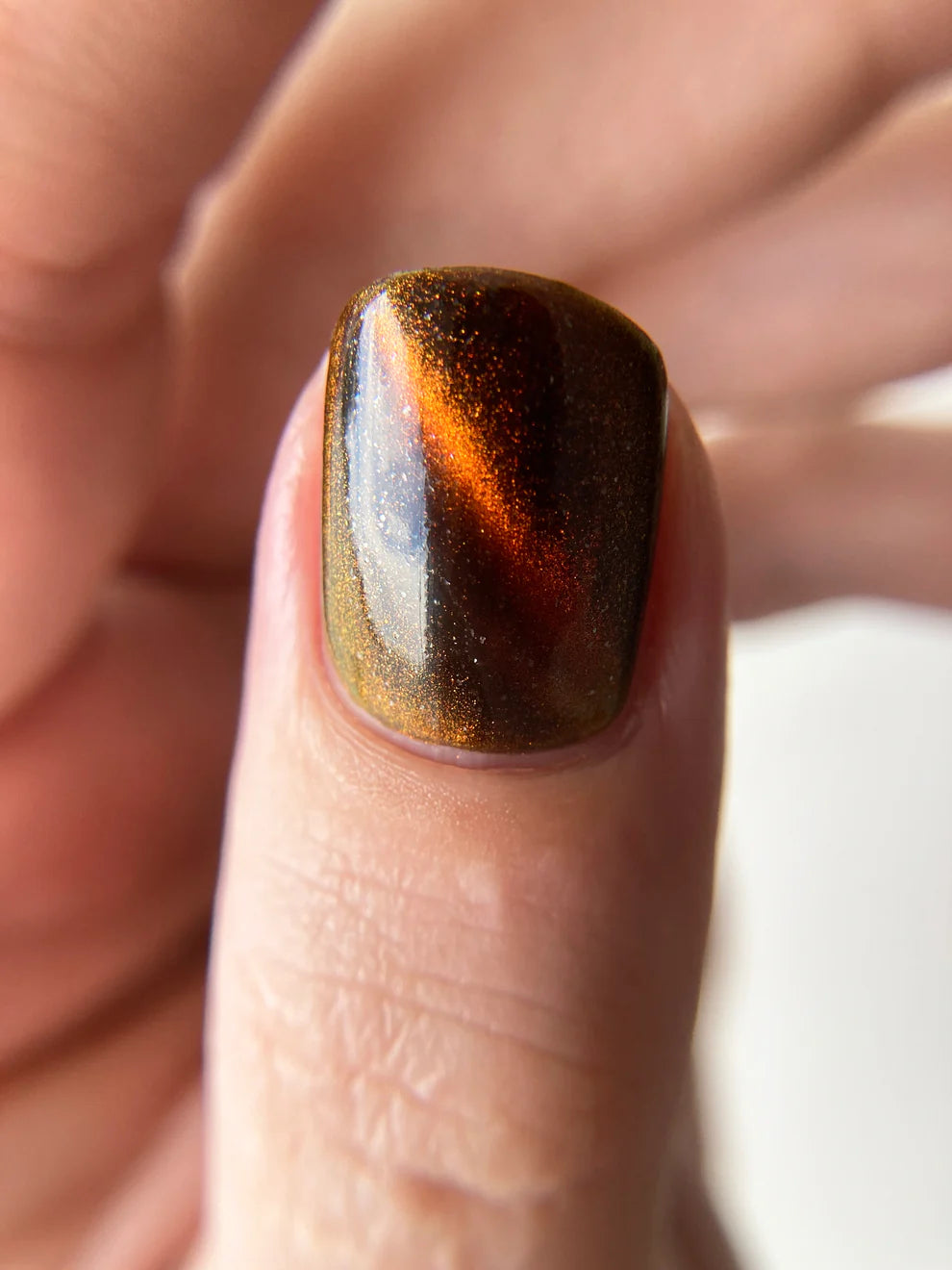 Tannins in the Leaves MAGNETIC
