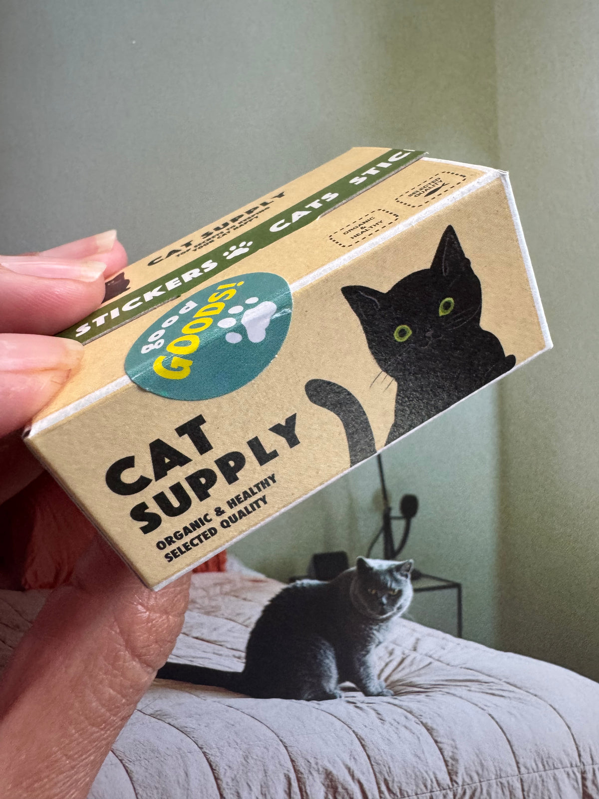 Sticker Box - Cat