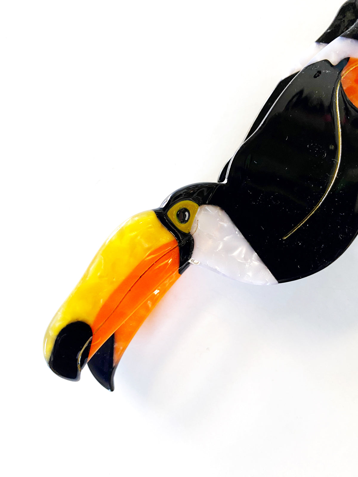 Toucan Bird Claw Hair Clip