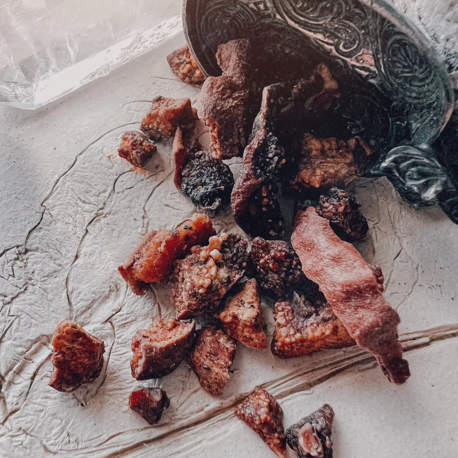 Pyrus (Norma) Ancient Medicine Tea Blend: