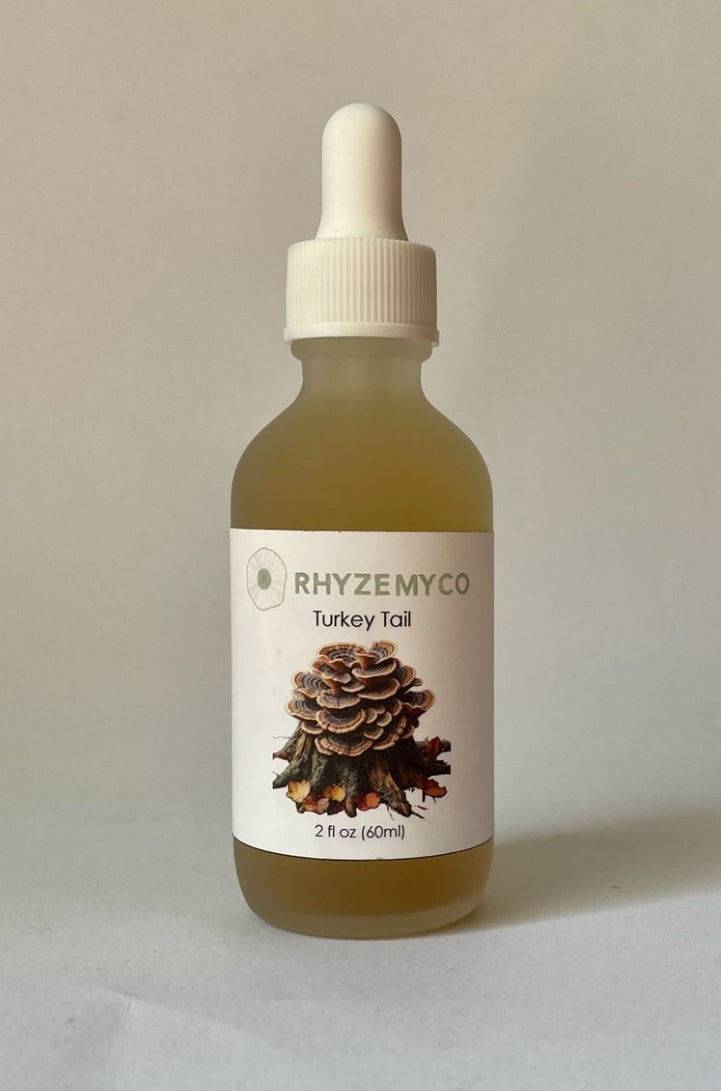 Turkey Tail Mushroom Tincture