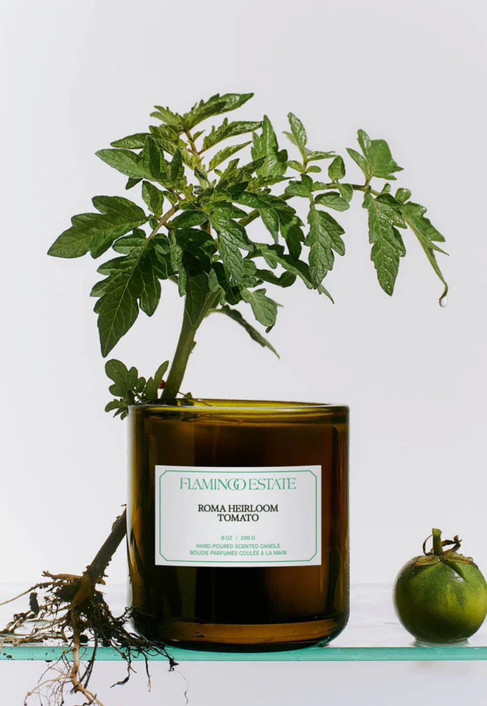Flamingo: Roma Heirloom Tomato 8oz: Garden Essentials