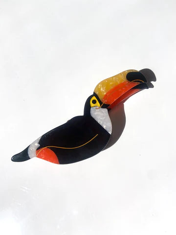 Toucan Bird Claw Hair Clip