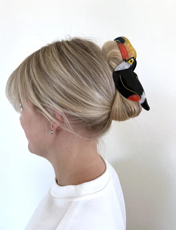 Toucan Bird Claw Hair Clip