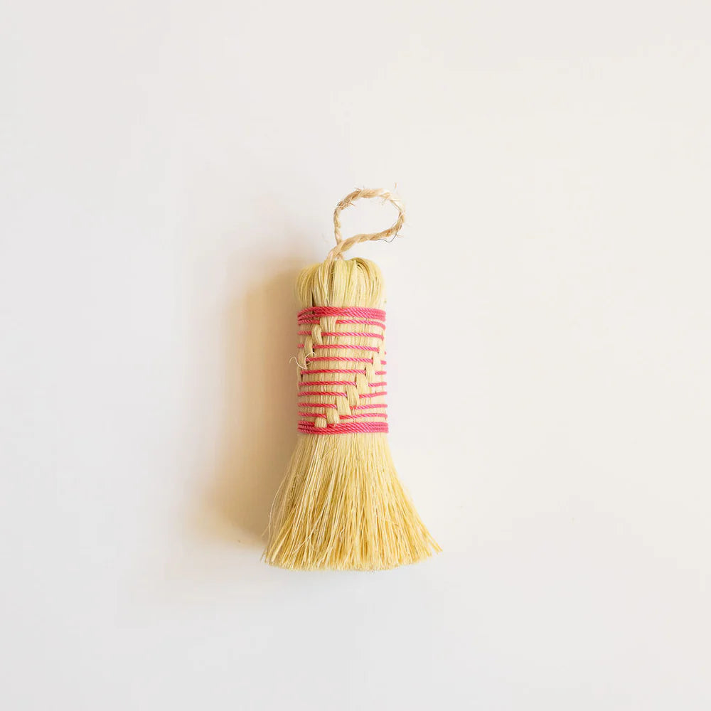 Agave Fiber Cleaning Brush Pink