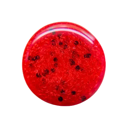 LADYBUG ON OZEMPIC Nail Polish
