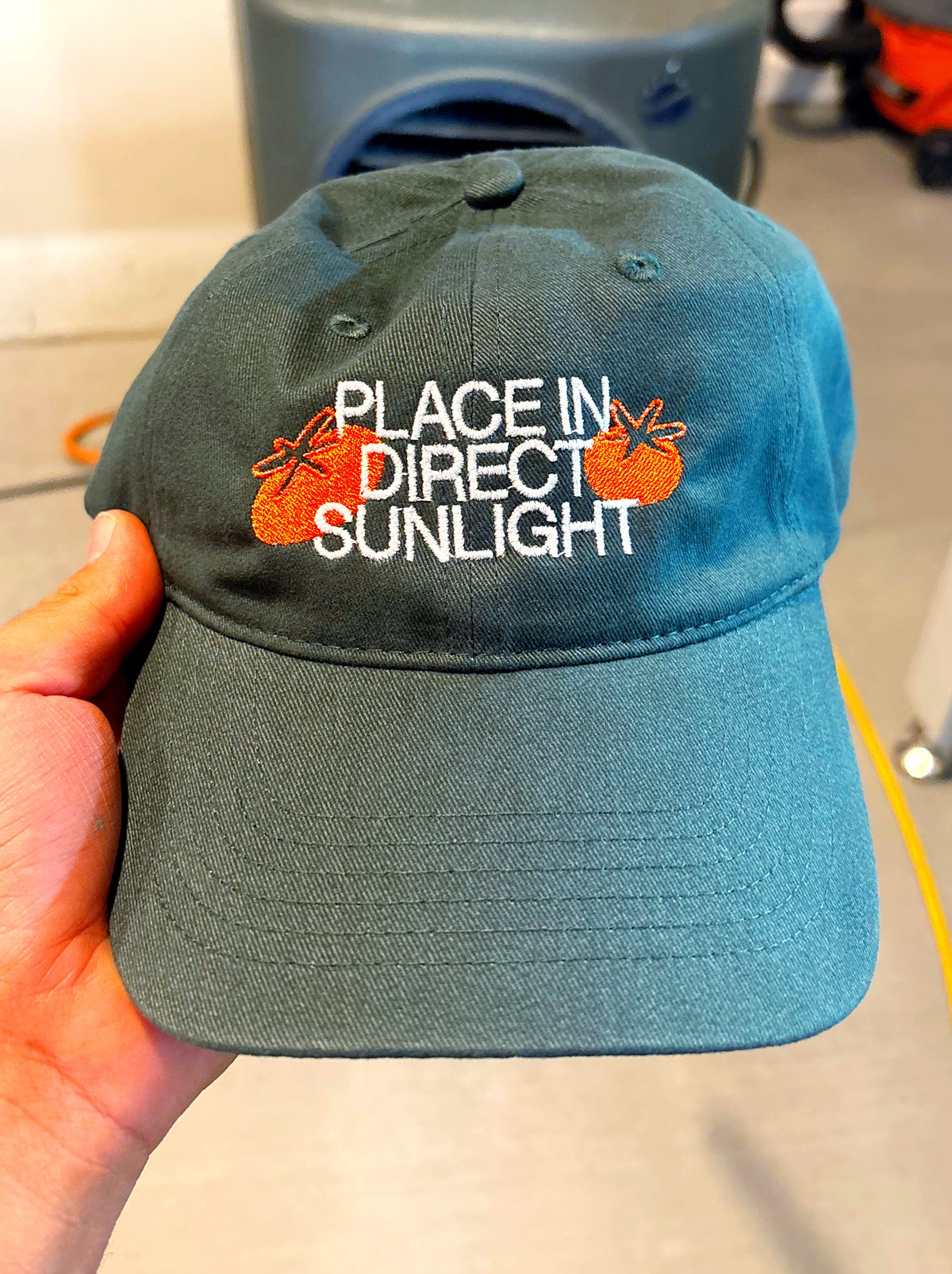 “Place In Direct Sunlight” Tomato Dad Hat