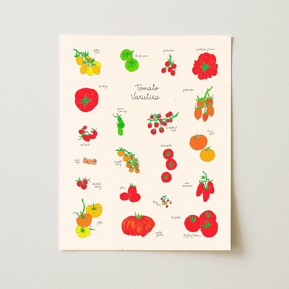 Tomato Varieties Art Print: 8" x 10"