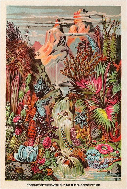 Art Print SE-127 Pliocene Period