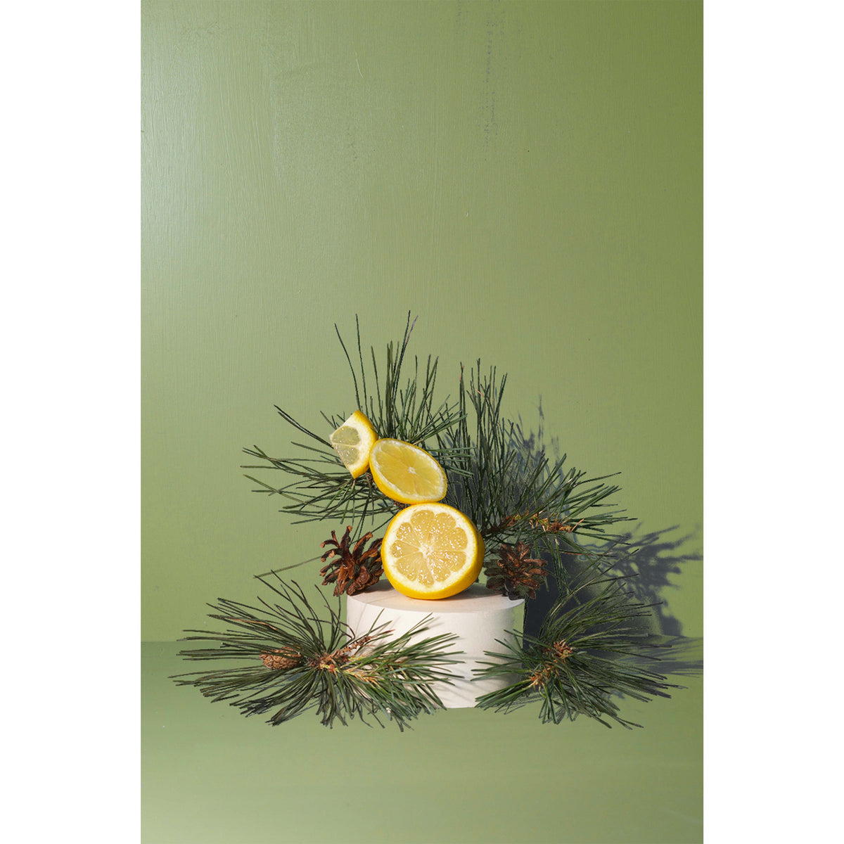 Fir Needle Mini Candle - HOLIDAY