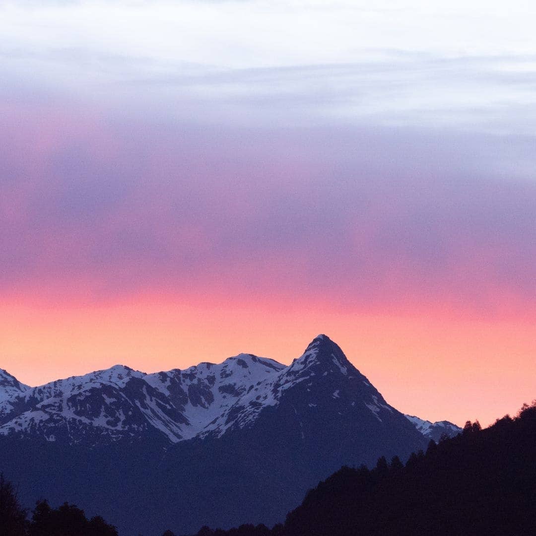 Rosehip Oil, 100% Organic