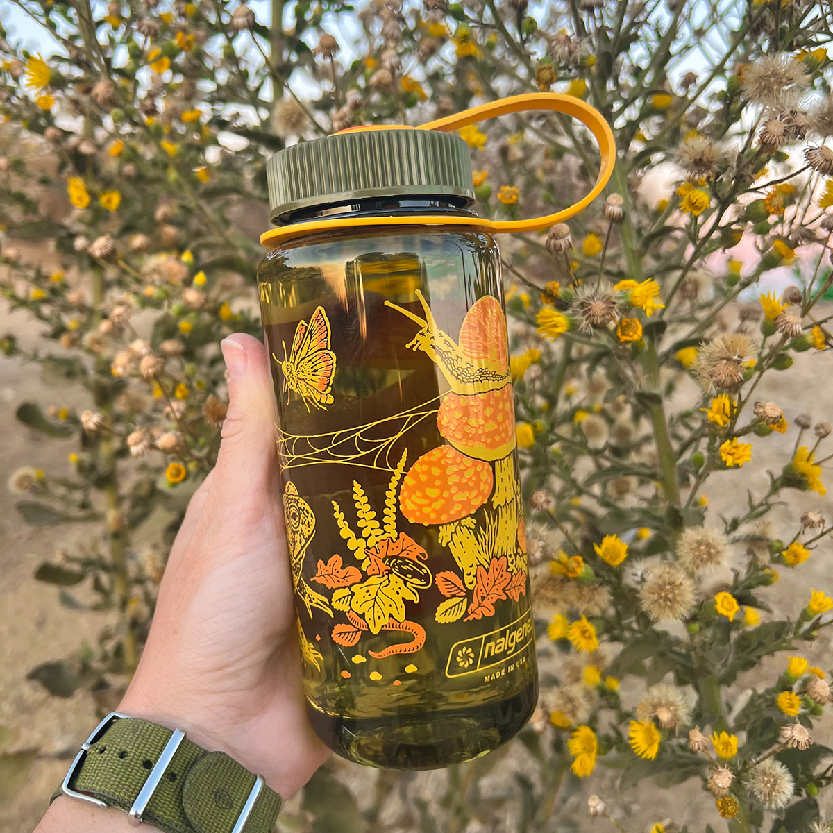 16oz Toad &amp; Mushrooms, Wide Mouth Nalgene Water Bottle