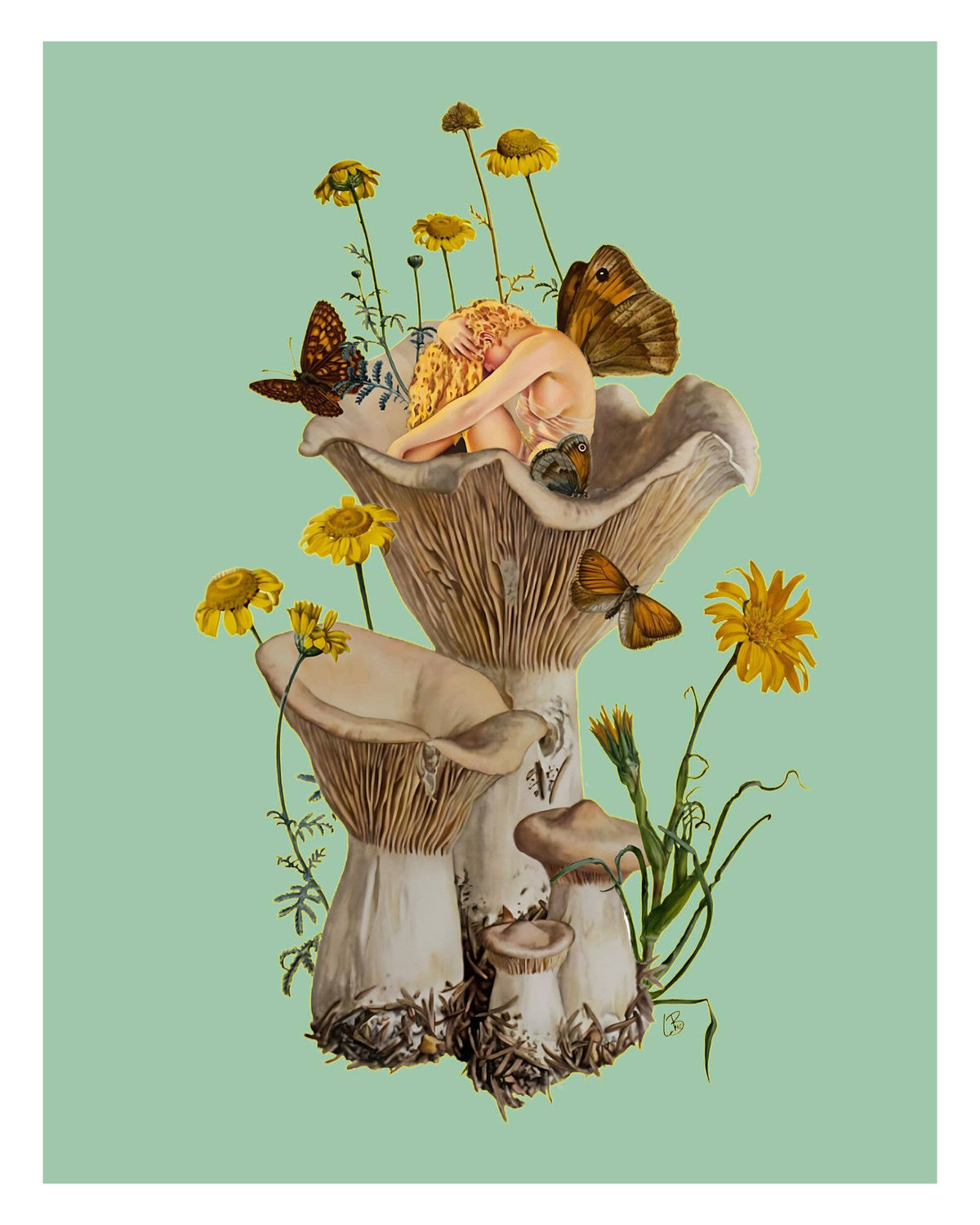 Shroom Gully