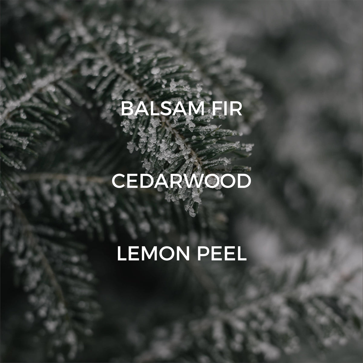 Fir Needle Mini Candle