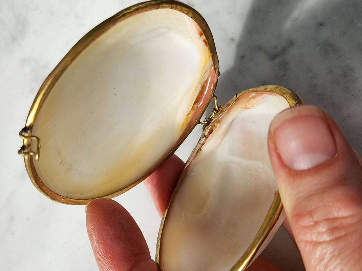 Clam Trinket Pill Box, Coin Purse