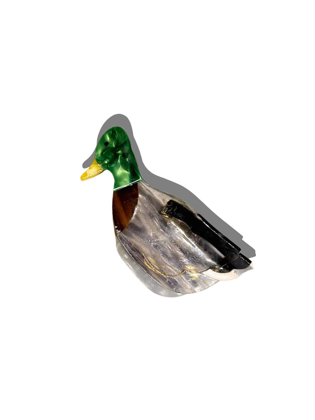 Mallard Duck Bird Claw