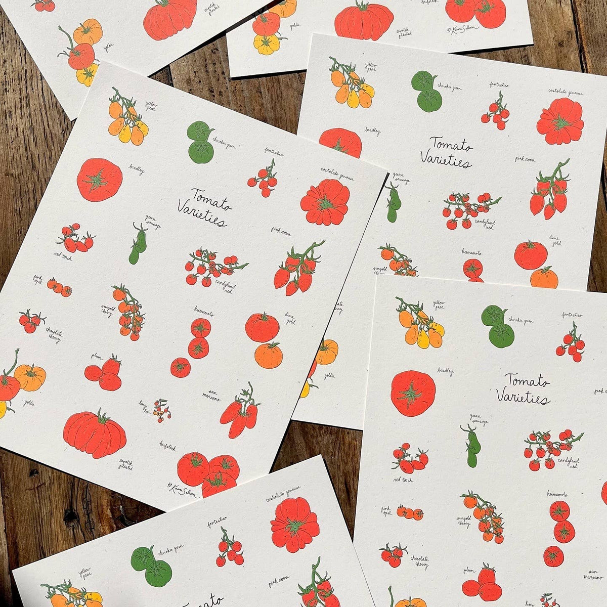 Tomato Varieties Art Print: 8" x 10"