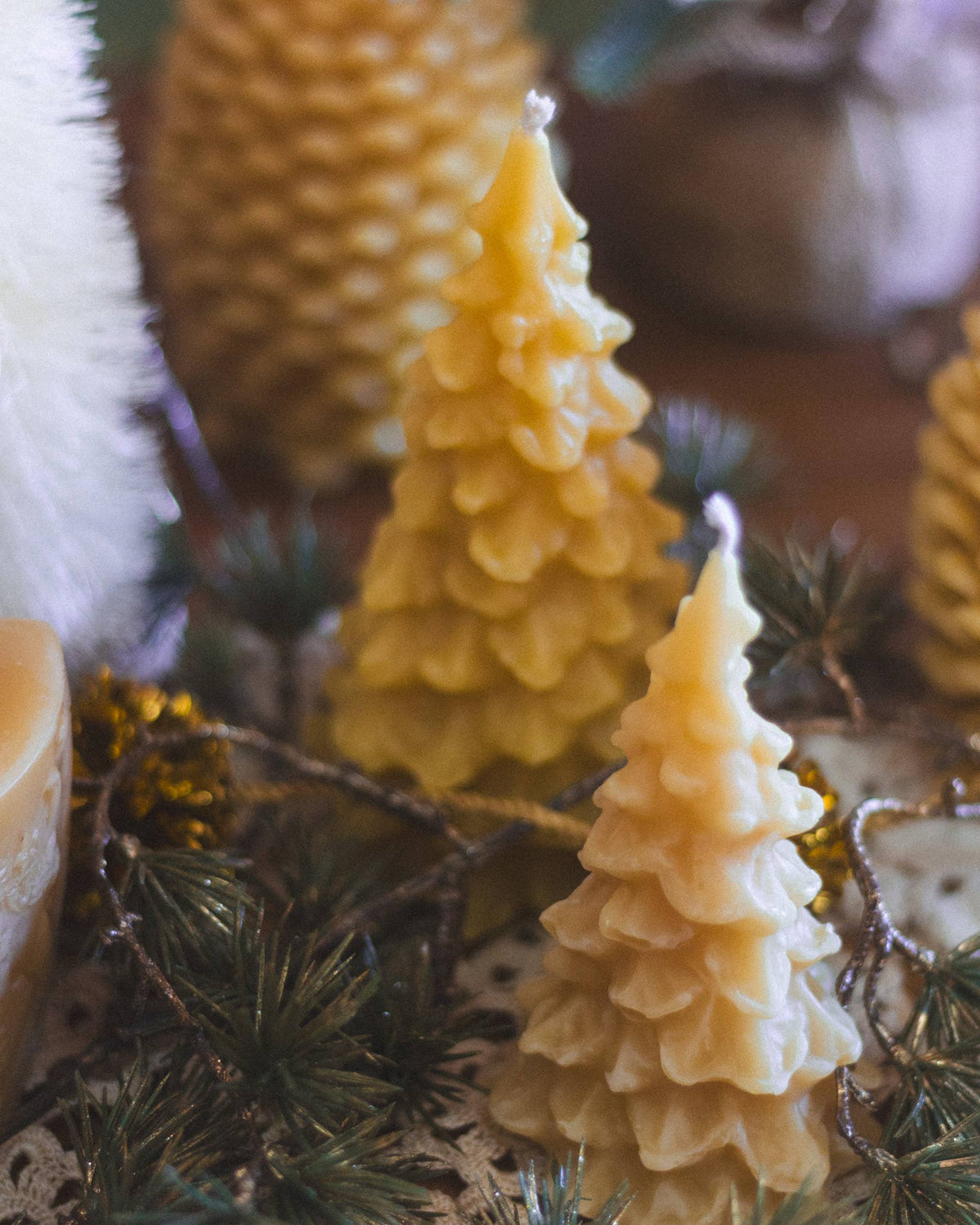 Beeswax Tree Candle: Large