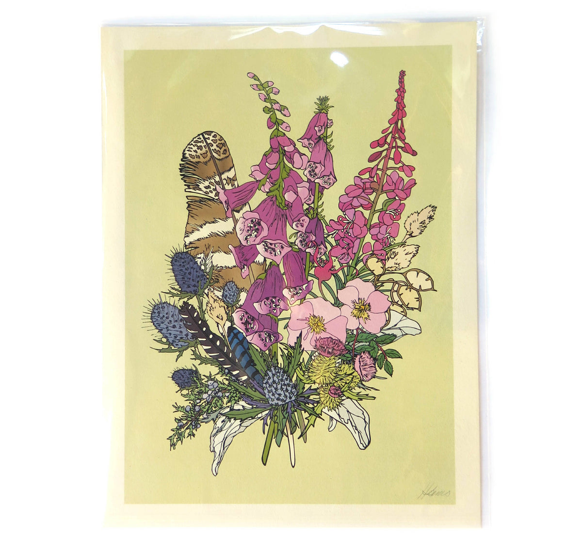 Foxglove and Feather Print - 12x16 inches