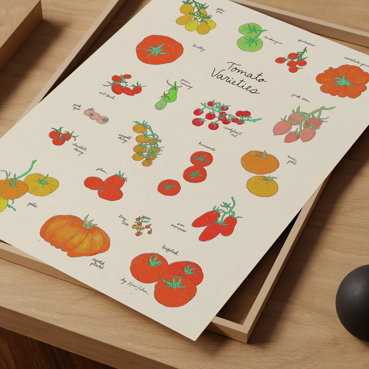 Tomato Varieties Art Print: 8" x 10"