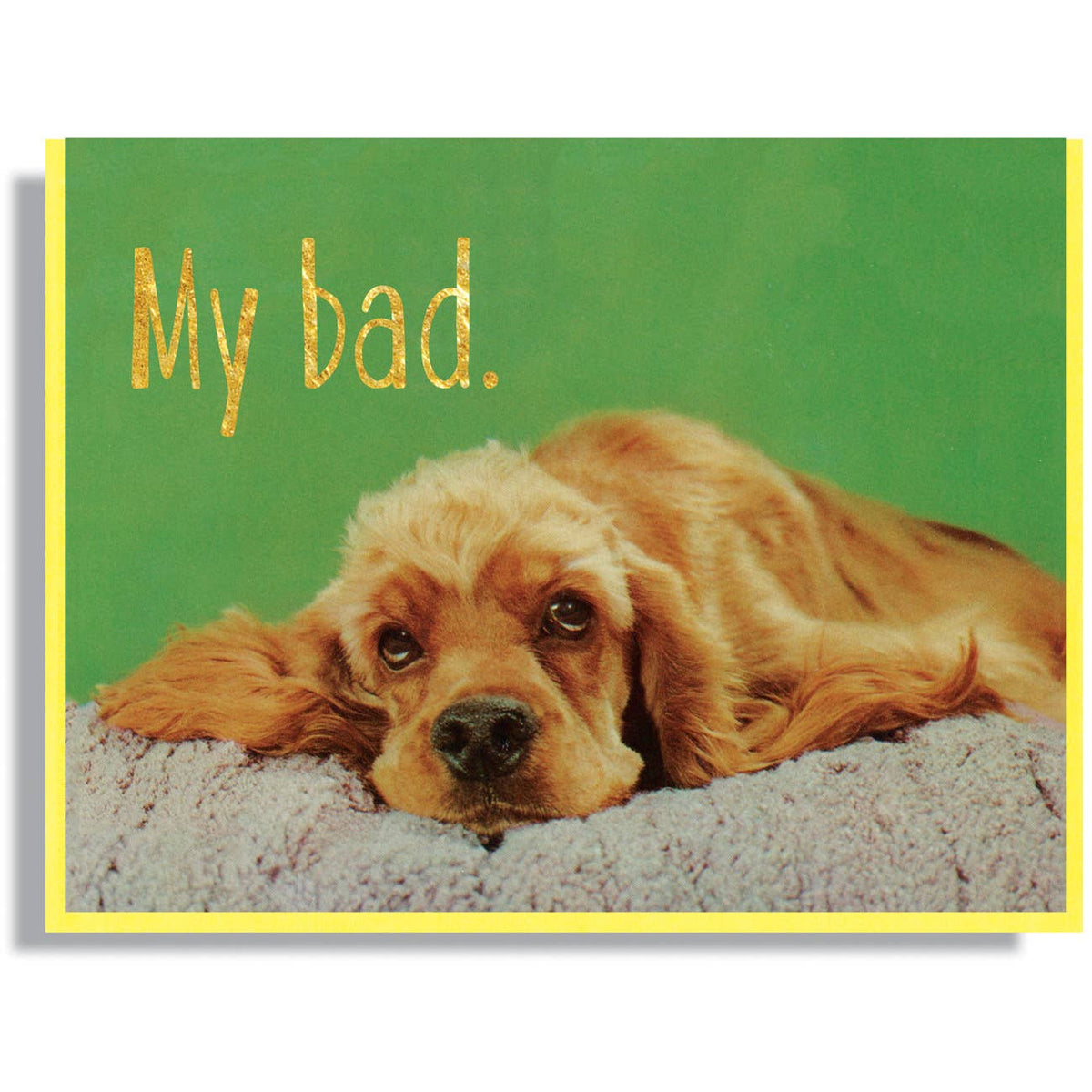 My Bad Card
