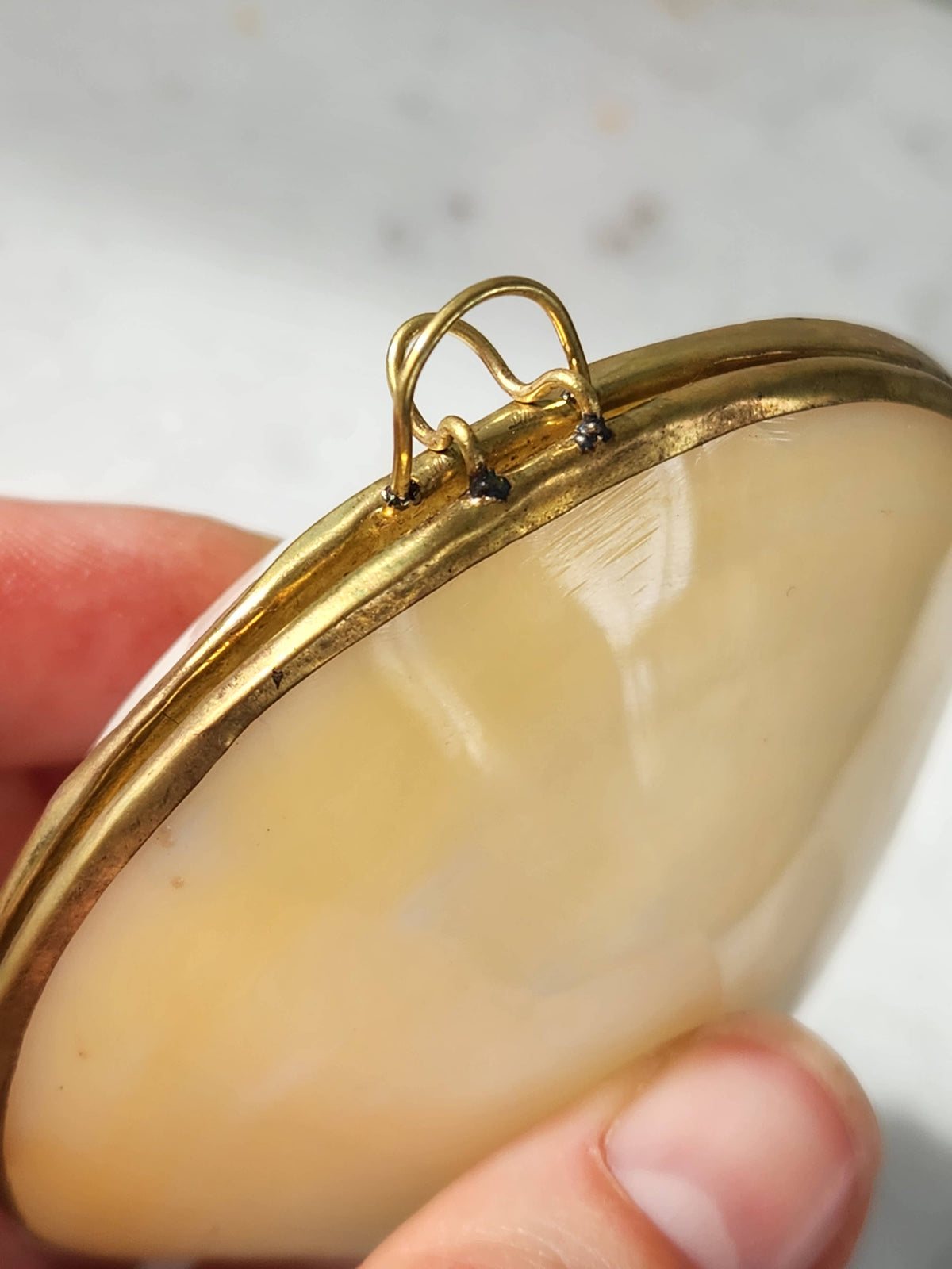 Clam Trinket Pill Box, Coin Purse