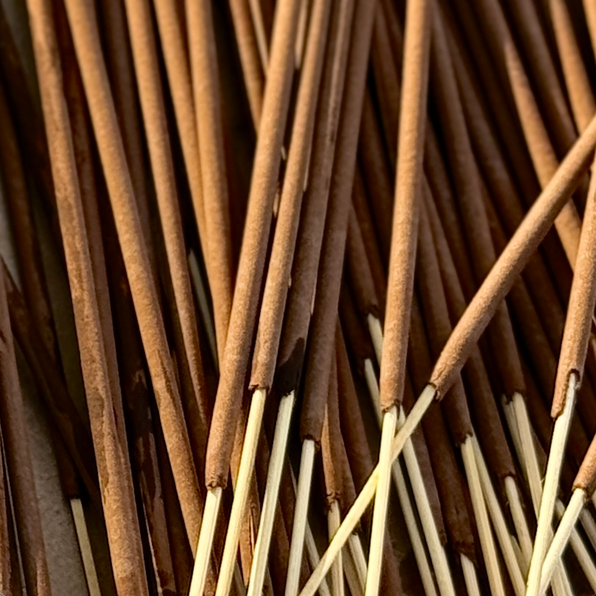 Palo Santo Hand-Rolled Botanical Incense Sticks | Rituals: Palo Santo Incense