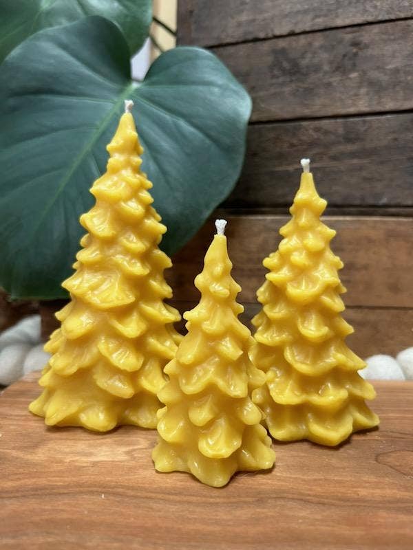 Beeswax Tree Candle: Small