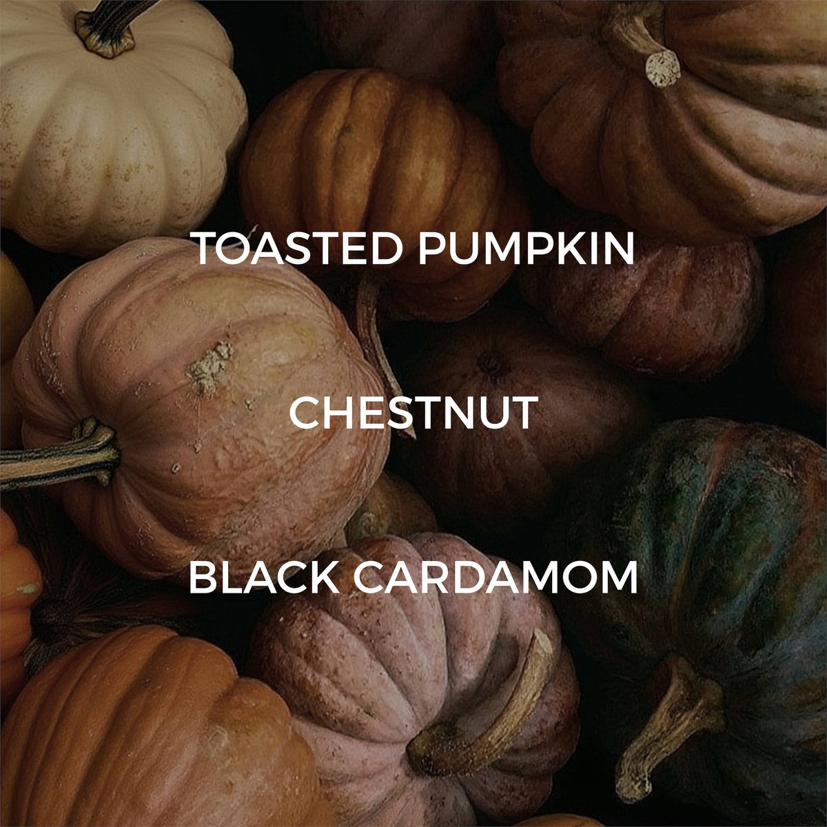 Velvet Pumpkin Mini Candle - FALL / HOLIDAY
