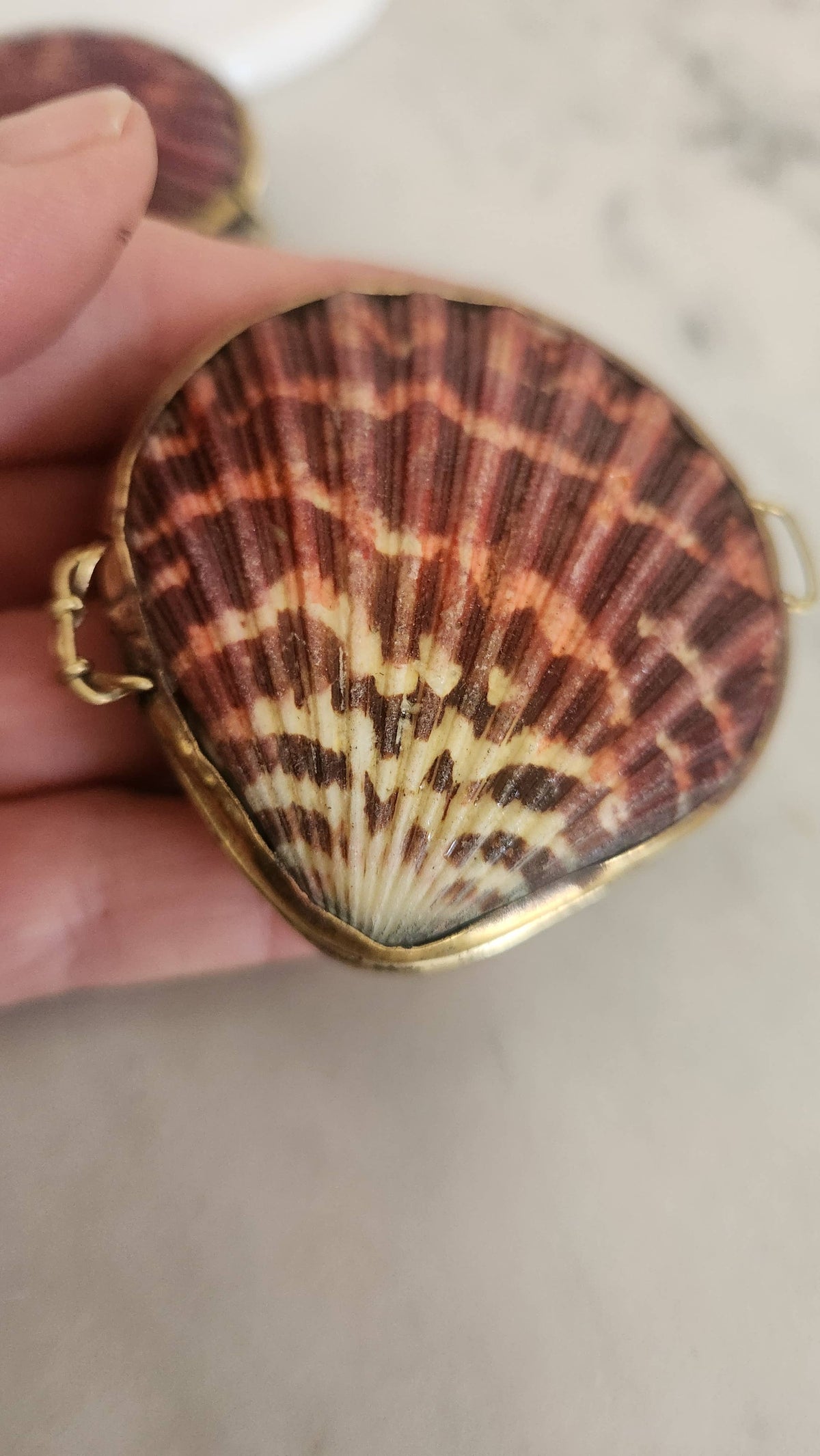Pink Pectin Scallop Trinket Pill Box, Coin Purse