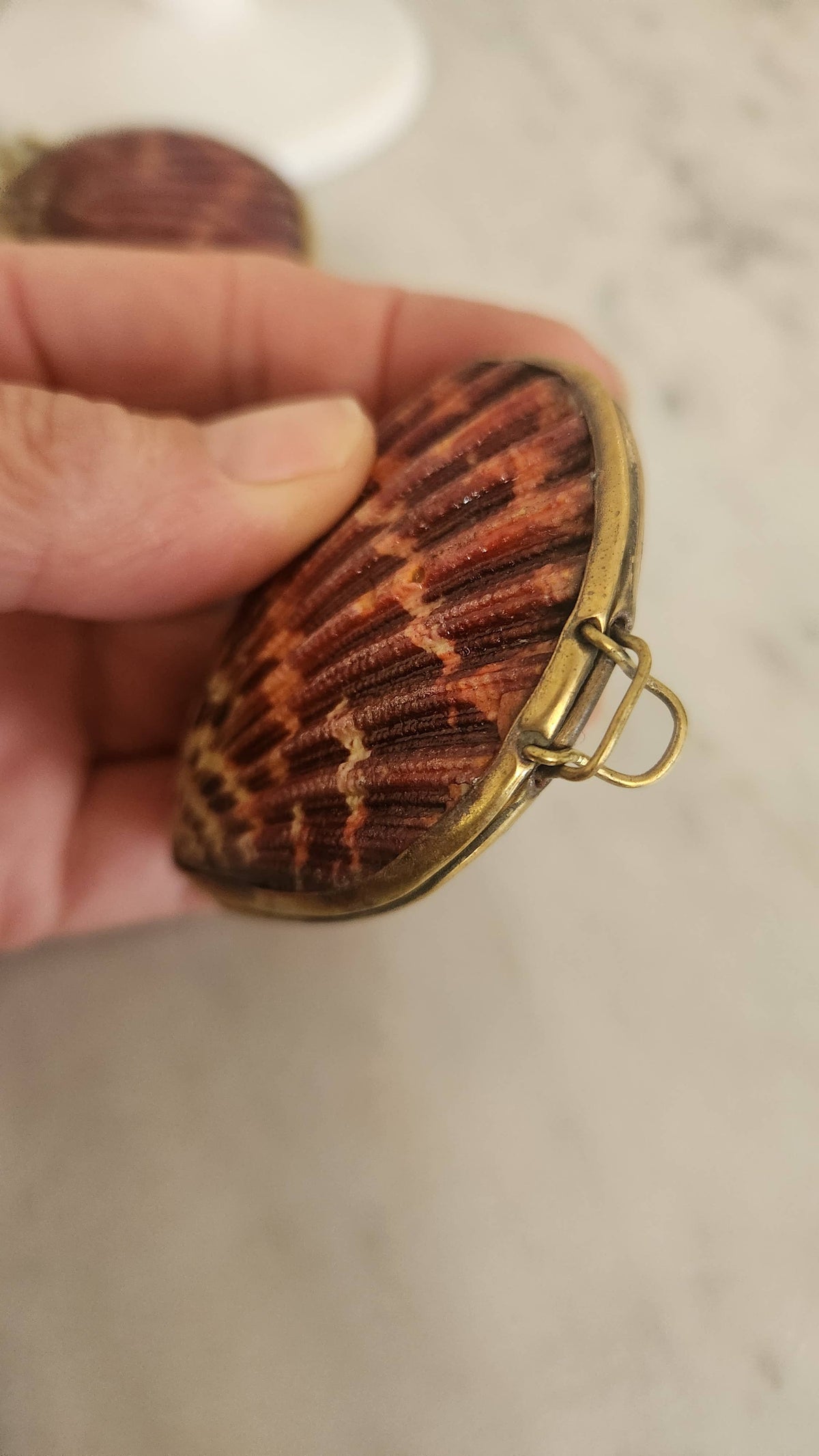 Pink Pectin Scallop Trinket Pill Box, Coin Purse