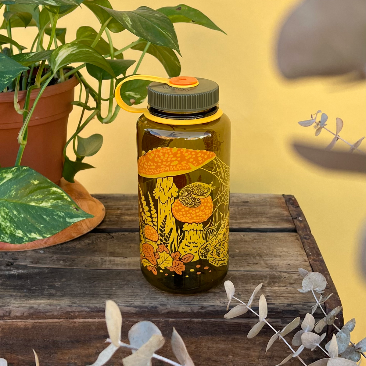 16oz Toad &amp; Mushrooms, Wide Mouth Nalgene Water Bottle
