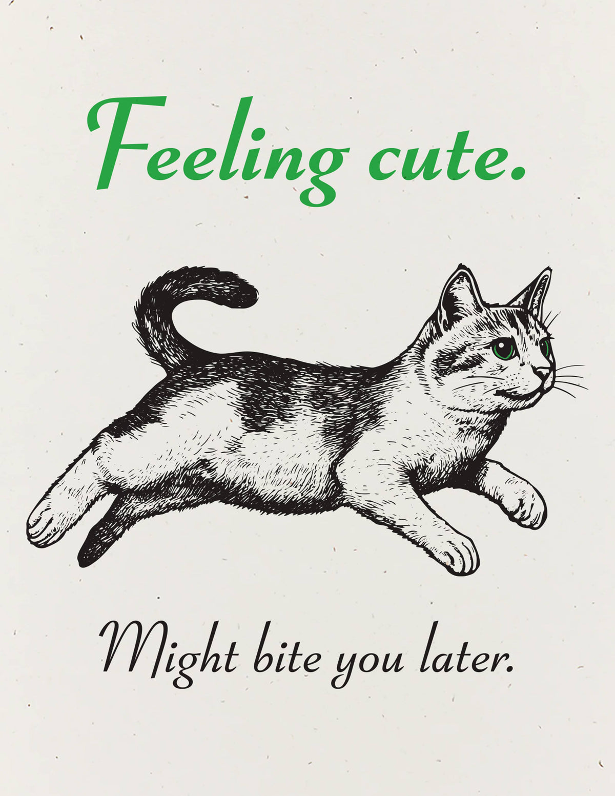 Feeling Cute Kitten Greeting Card
