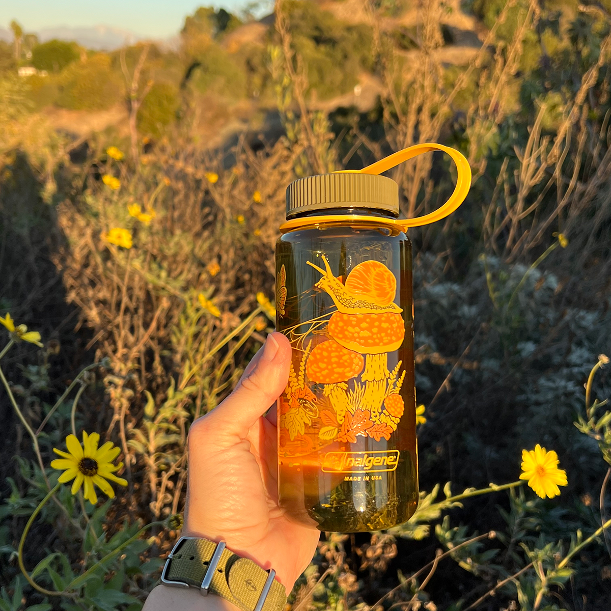 16oz Toad &amp; Mushrooms, Wide Mouth Nalgene Water Bottle