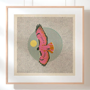 Hawk 12x12