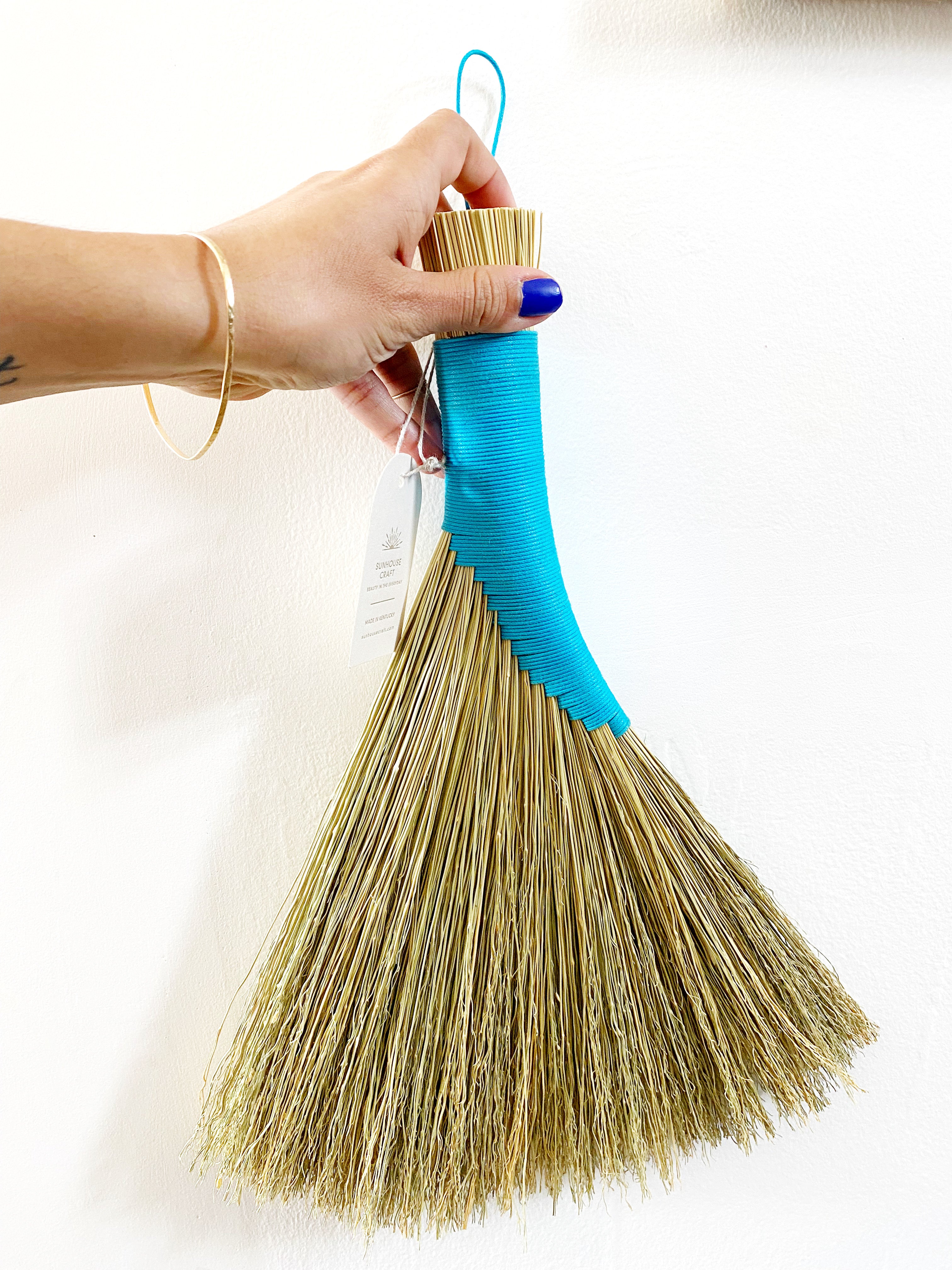 Turkey wing hand broom