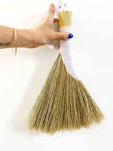 Turkey wing hand broom