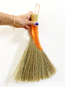 Turkey wing hand broom
