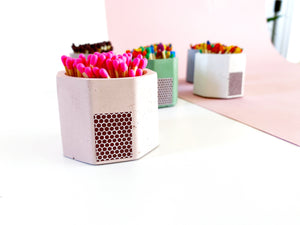 Tenn Prairie: Match holder with striker
